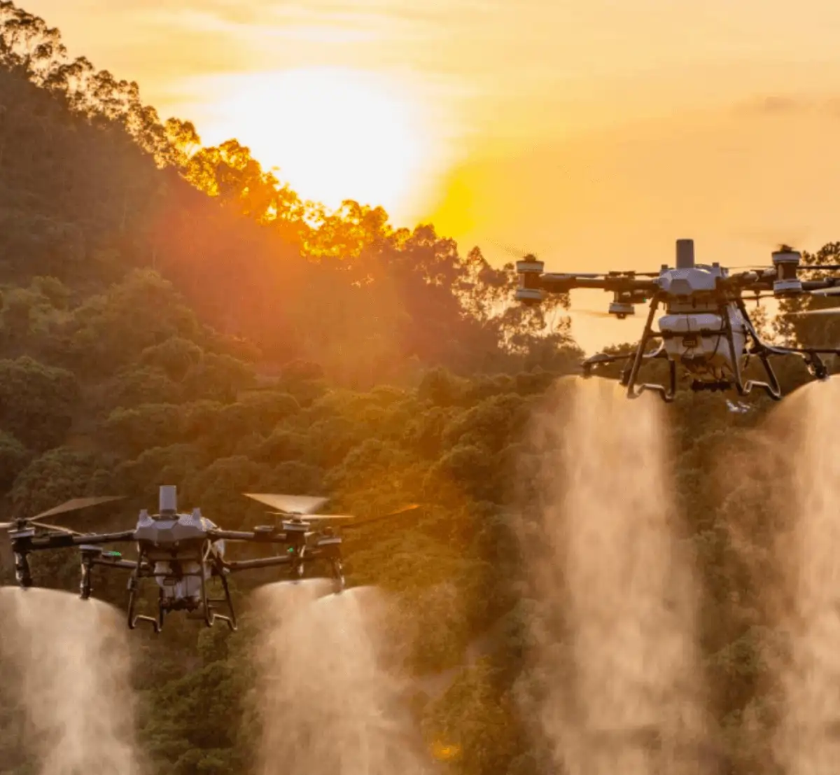 air agri forestry We provide Agri Drone Services for all types of row crops and cover crops.