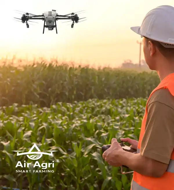 Agricultural drone services